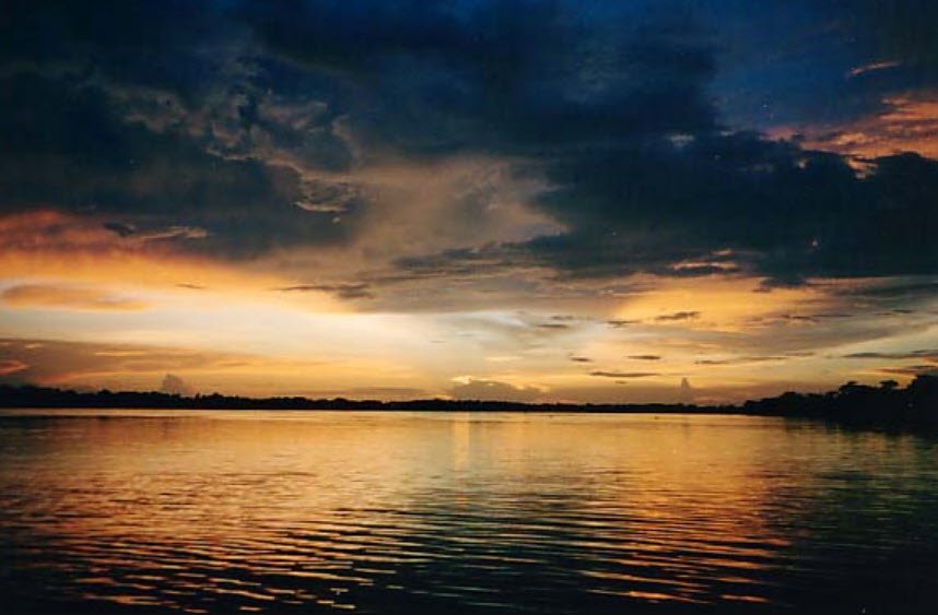 Delta del Orinoco, Delta Amacuro State, Venezuela